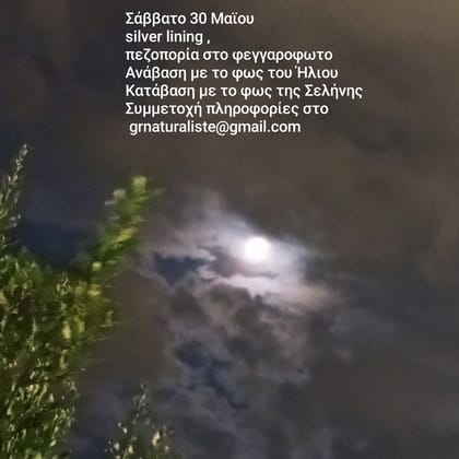 Silver lining δράση