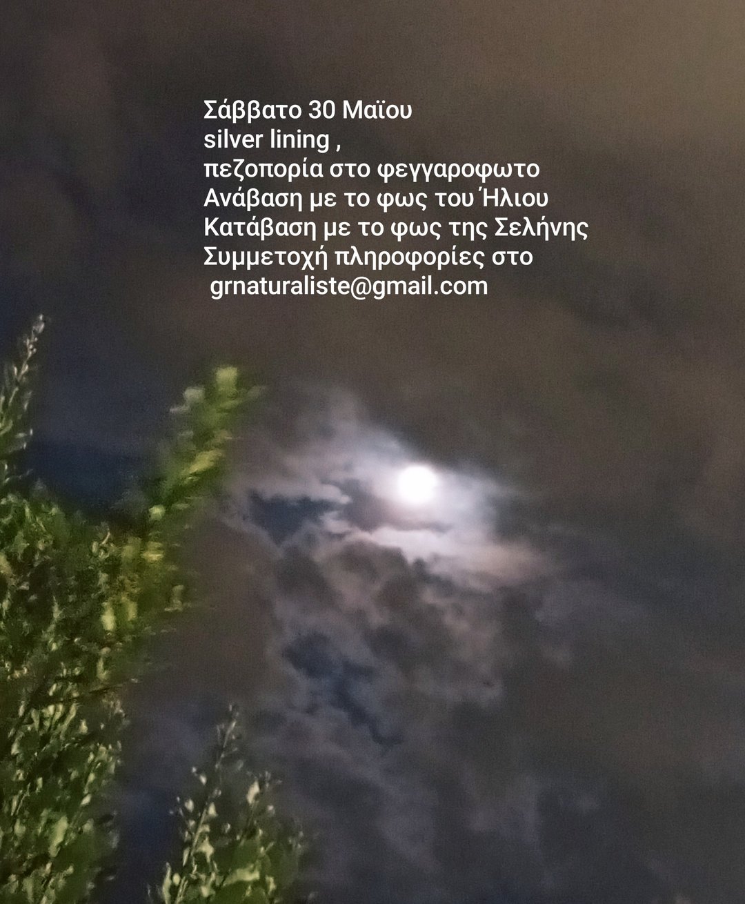Silver lining δράση