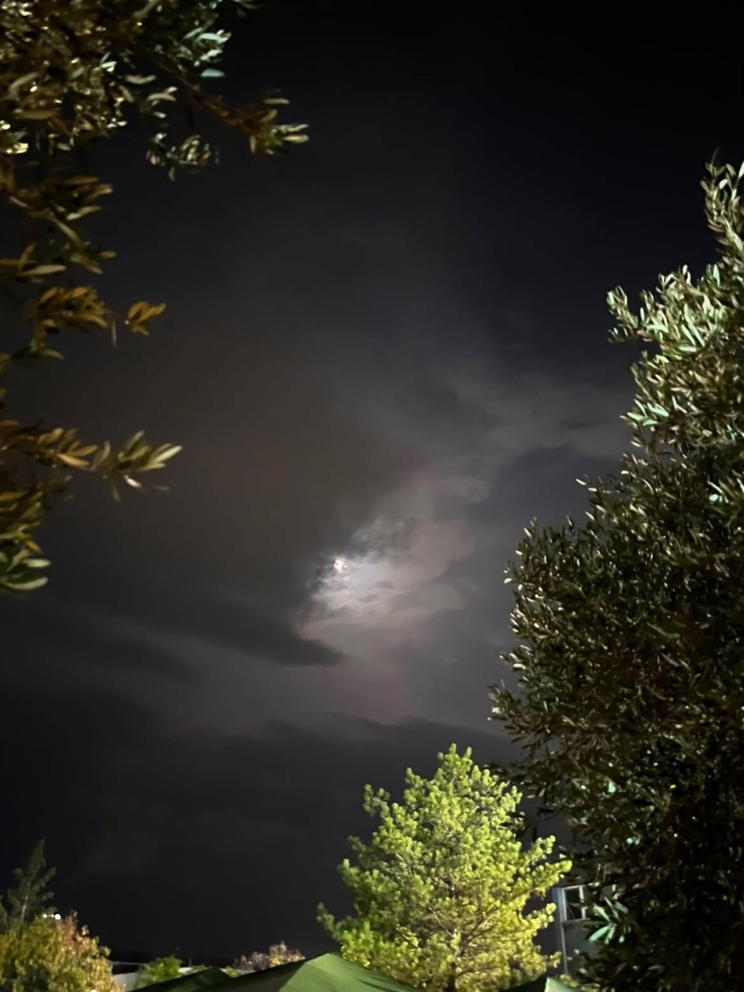 🔦 NIGHT ESCAPE ROUTE:
«ΤΟ ΜΥΣΤΙΚΟ ΤΗΣ ΑΜΑΔΡΥΑΔΑΣ»
